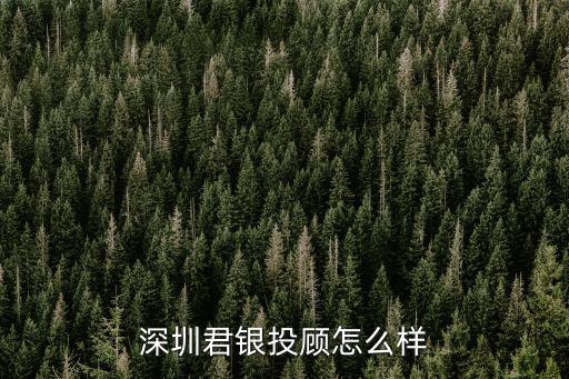 鄭州君銀投顧工作怎么樣,深圳君銀投顧怎么樣