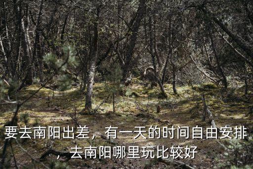 要去南陽出差，有一天的時(shí)間自由安排，去南陽哪里玩比較好