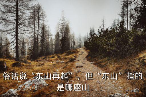 河南的東山是哪里,但東山指的是哪座山