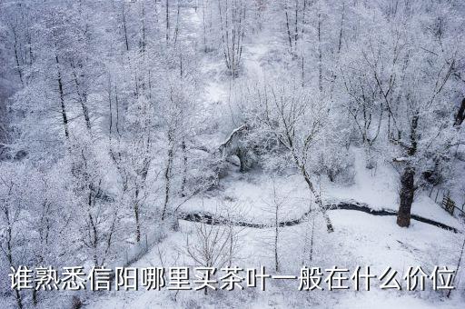 誰熟悉信陽哪里買茶葉一般在什么價位