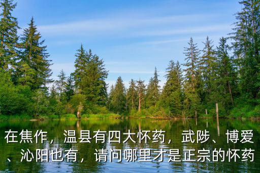 焦作的山藥從哪里來,鐵棍山藥哪里出產的最好