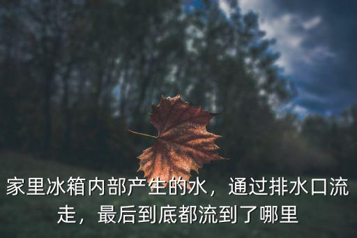 家里冰箱內部產生的水，通過排水口流走，最后到底都流到了哪里