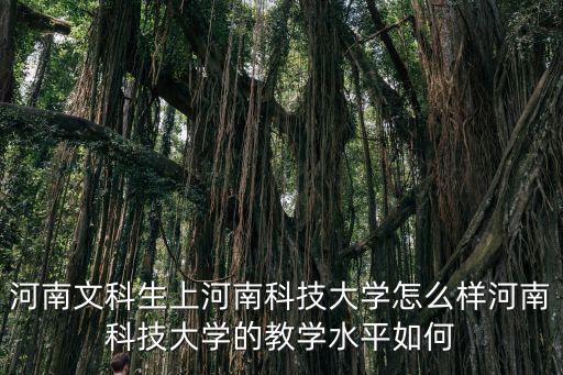河南科技大學法學院怎么樣,河南科技大學怎么樣