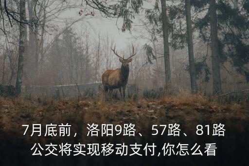7月底前，洛陽9路、57路、81路公交將實現移動支付,你怎么看