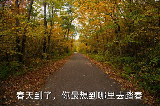 春天河南哪里去了,春天到了踏青去哪玩合適