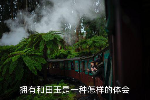 河南和田玉怎么樣,怎樣辨別和田玉