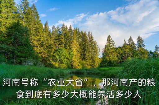 河南號稱“農業大省”，那河南產的糧食到底有多少大概能養活多少人