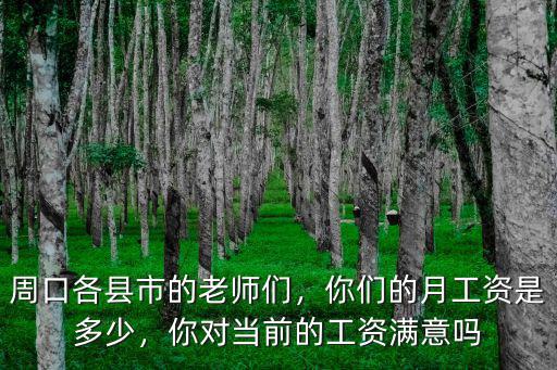 周口各縣市的老師們，你們的月工資是多少，你對當(dāng)前的工資滿意嗎