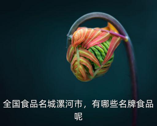 全國食品名城漯河市，有哪些名牌食品呢