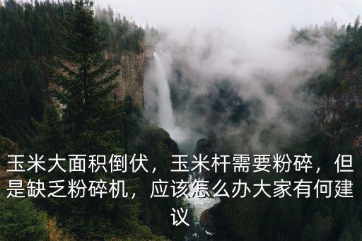 玉米大面積倒伏，玉米桿需要粉碎，但是缺乏粉碎機(jī)，應(yīng)該怎么辦大家有何建議