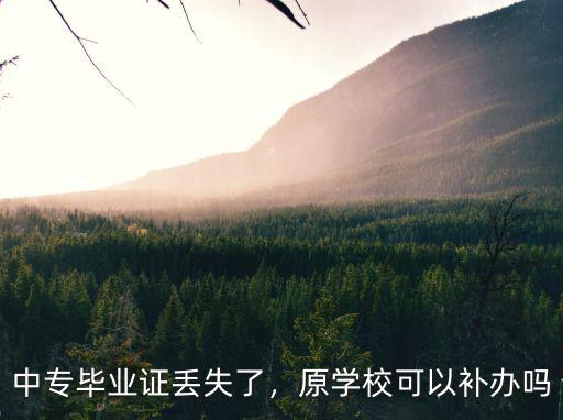 南陽中專畢業證丟了在哪里補辦,中專畢業證丟失了