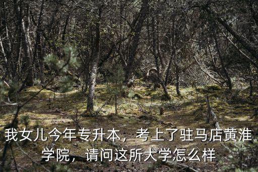 駐馬店黃淮學院有多少老師,河南駐馬店黃淮學院怎么樣