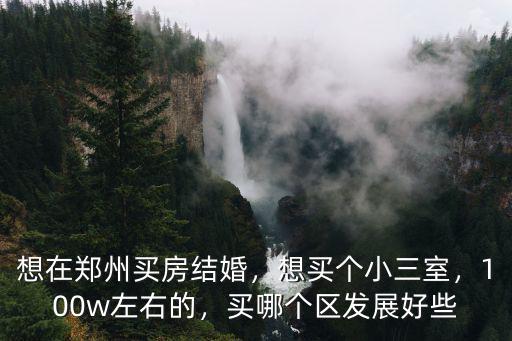 想在鄭州買房結(jié)婚，想買個(gè)小三室，100w左右的，買哪個(gè)區(qū)發(fā)展好些