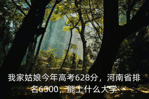 我家姑娘今年高考628分，河南省排名6500，能上什么大學(xué)