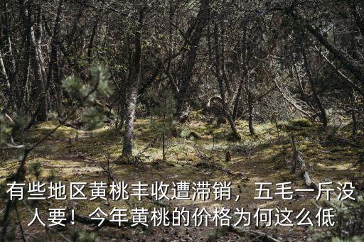 河南蘭考縣的黃桃多少錢一斤,黃桃的價(jià)格現(xiàn)在多少錢一斤