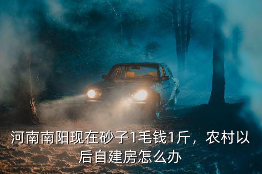 河南南陽現在砂子1毛錢1斤，農村以后自建房怎么辦