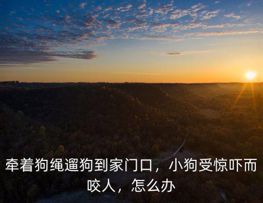 牽著狗繩遛狗到家門口，小狗受驚嚇而咬人，怎么辦