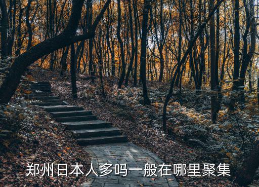 鄭州的日本企業有多少,鄭州有哪些外企