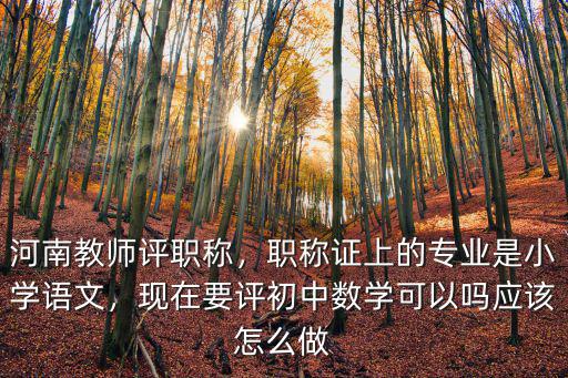 河南教師評職稱，職稱證上的專業是小學語文，現在要評初中數學可以嗎應該怎么做