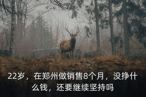 22歲，在鄭州做銷售8個月，沒掙什么錢，還要繼續堅持嗎