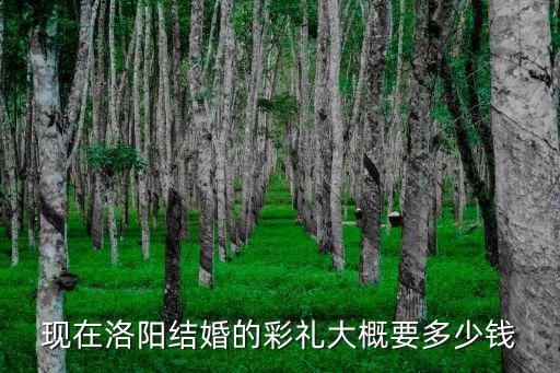 河南嫁閨女要多少錢,河南南陽彩禮多少錢