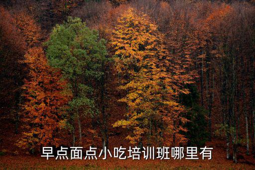 平頂山培訓面點的地方在哪里,到哪個地方去學面點