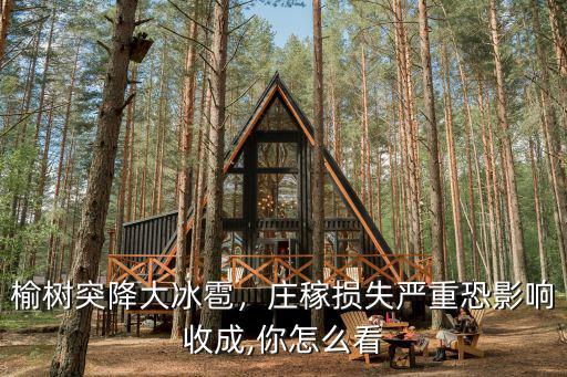 榆樹突降大冰雹，莊稼損失嚴重恐影響收成,你怎么看
