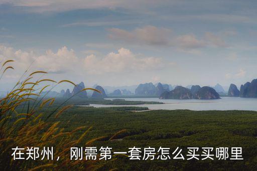 在鄭州，剛需第一套房怎么買買哪里