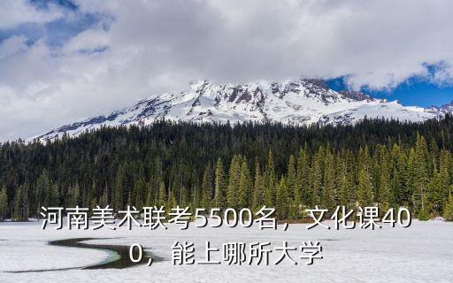 河南省美術生文化課要考多少,美術要考多少分才能上個二本