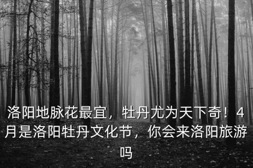 洛陽地脈花最宜，牡丹尤為天下奇！4月是洛陽牡丹文化節，你會來洛陽旅游嗎
