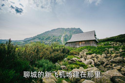 聊城的新飛機(jī)場(chǎng)建在那里