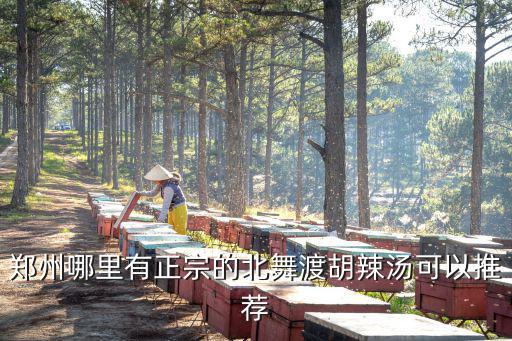 鄭州哪里有正宗的北舞渡胡辣湯可以推薦