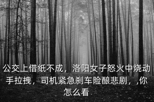 公交上借紙不成，洛陽(yáng)女子怒火中燒動(dòng)手拉拽，司機(jī)緊急剎車(chē)險(xiǎn)釀悲劇，,你怎么看
