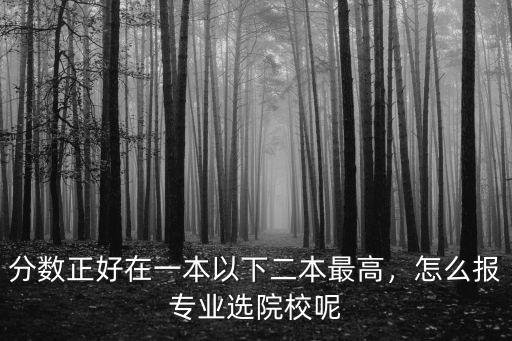 分數(shù)正好在一本以下二本最高，怎么報專業(yè)選院校呢