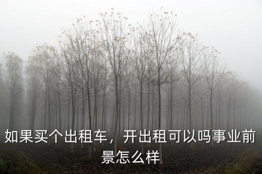 如果買個出租車，開出租可以嗎事業前景怎么樣