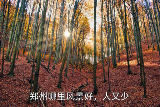 鄭州哪里好玩人多,河南鄭州晚上哪里好玩