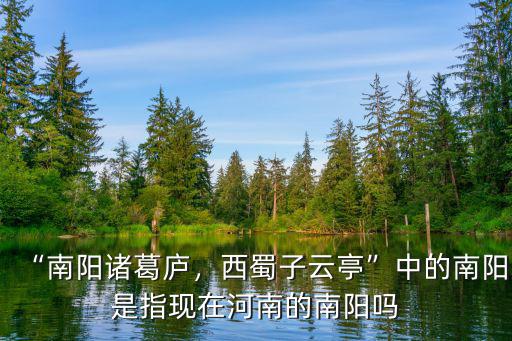 “南陽諸葛廬，西蜀子云亭”中的南陽是指現(xiàn)在河南的南陽嗎