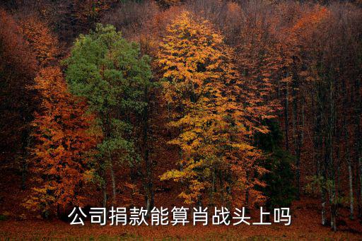 怎么在微博和肖戰一起為河南捐款,怎么評價肖戰在第一時間捐款