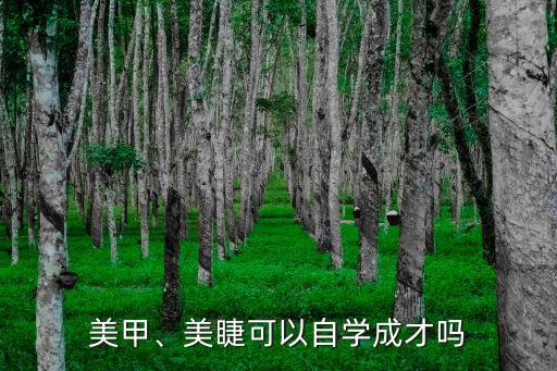 河南太康美甲美睫多少錢做一次,學個美發美睫多少錢