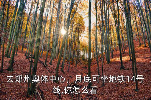 去鄭州奧體中心，月底可坐地鐵14號線,你怎么看