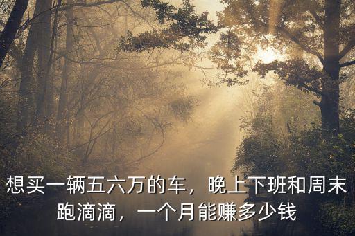 想買一輛五六萬的車，晚上下班和周末跑滴滴，一個月能賺多少錢