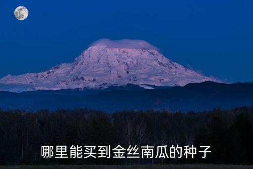 哪里能買到金絲南瓜的種子