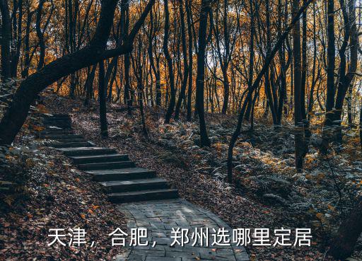 天津，合肥，鄭州選哪里定居