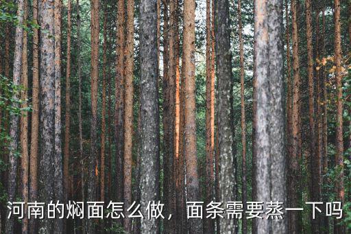鹵面怎么做河南,怎么做河南蒸鹵面