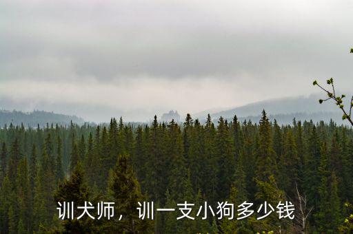 訓(xùn)犬師，訓(xùn)一支小狗多少錢