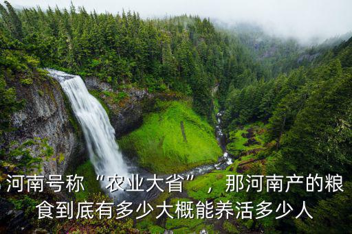 河南號稱“農業大省”，那河南產的糧食到底有多少大概能養活多少人