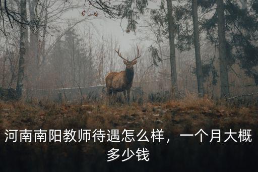 河南南陽教師待遇怎么樣，一個月大概多少錢