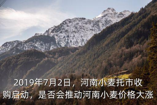 河南哪里有小麥收購點,河南小麥托市收購啟動