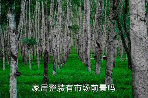 家居整裝有市場前景嗎