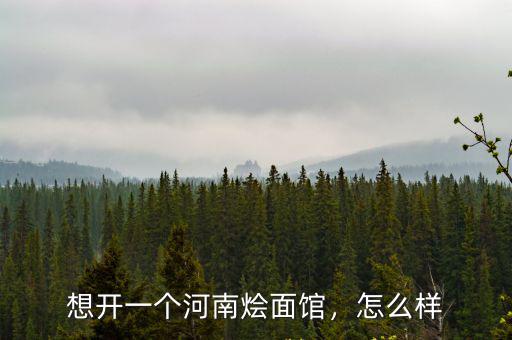 河南人在義烏做燴面怎么樣,河南的燴面怎么做